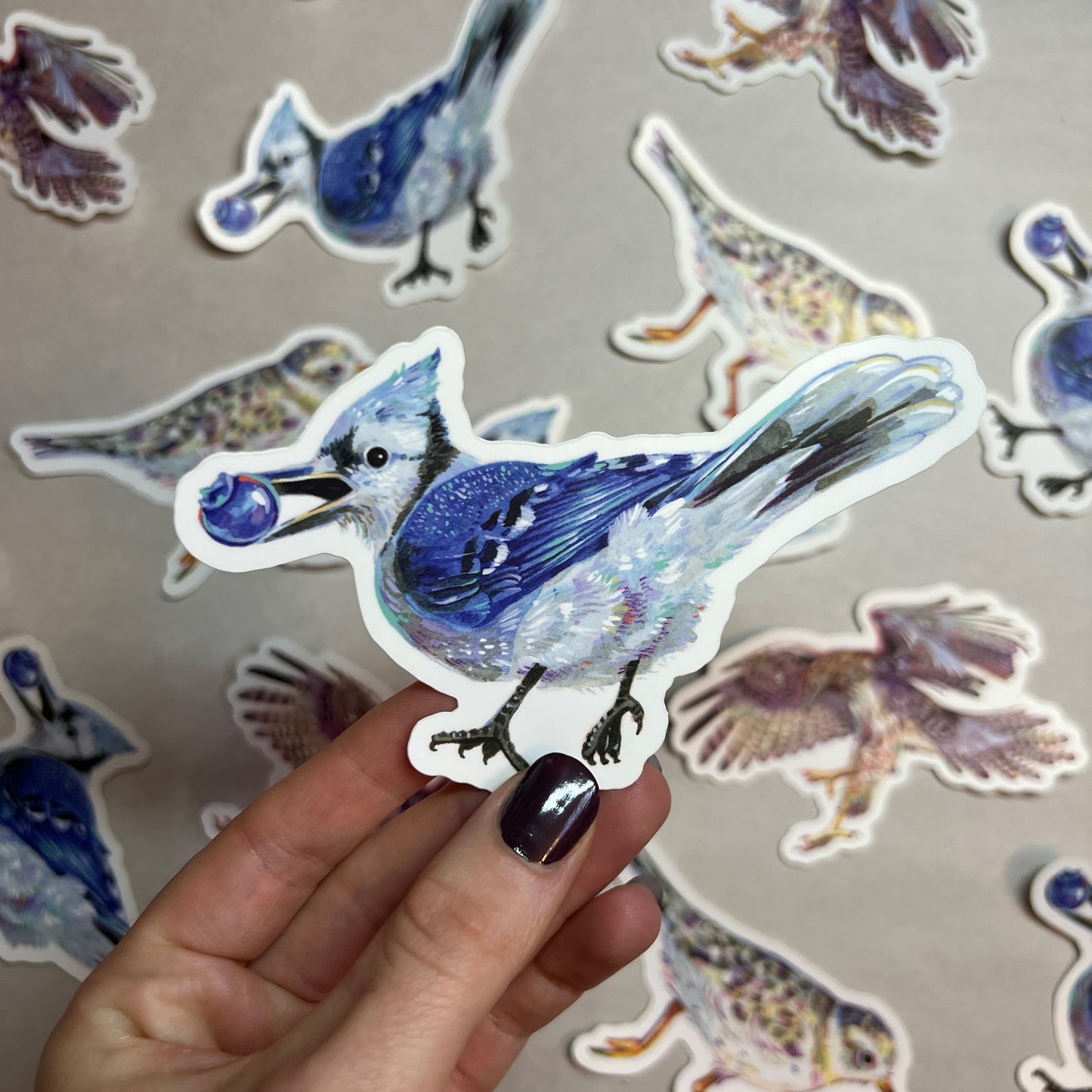 Blue Jay Sticker