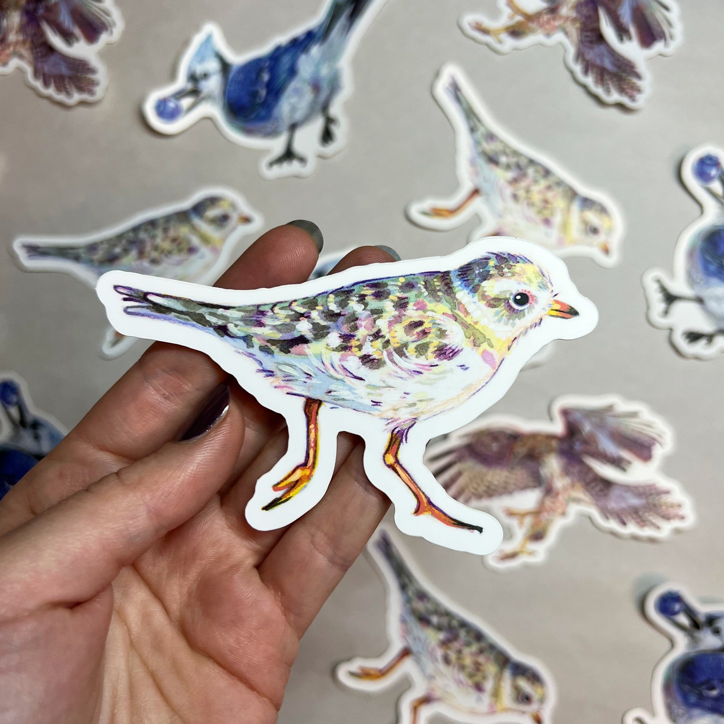 Plover Sticker