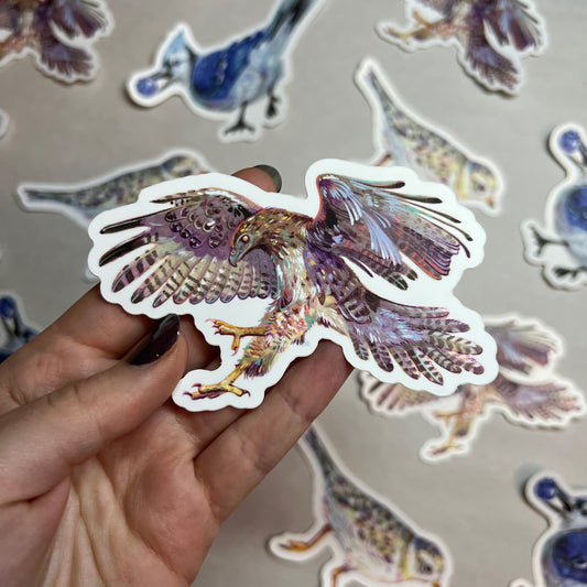 Hawk Sticker